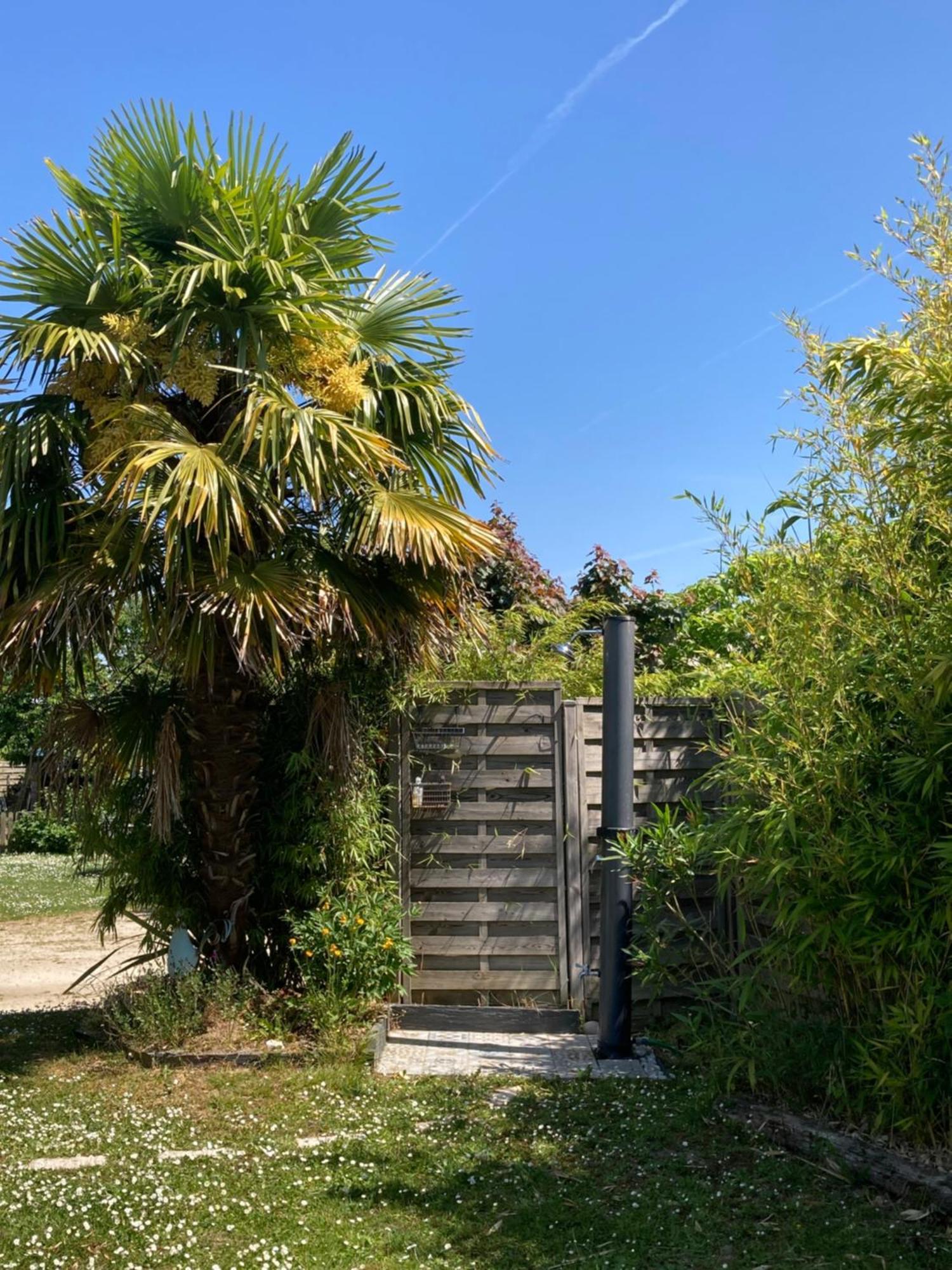 Le Chemin De La Loire Ξενοδοχείο Αμπουάζ Εξωτερικό φωτογραφία